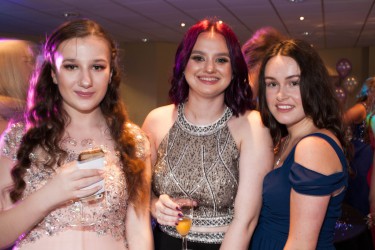 IMG 6426 IMG 6426