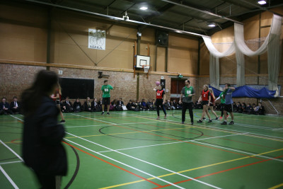 IMG 7115 IMG 7115
