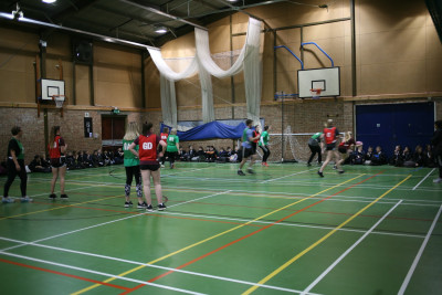 IMG 7118 IMG 7118
