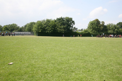 IMG 9950 IMG 9950