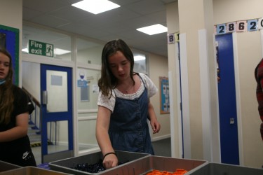 IMG 0059 IMG 0059