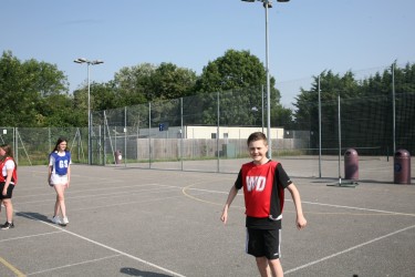 IMG 0238 IMG 0238