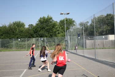 IMG 0240 IMG 0240