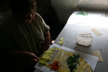 IMG 0252 IMG 0252