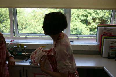 IMG 0291 IMG 0291