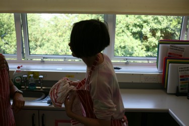 IMG 0291 IMG 0291