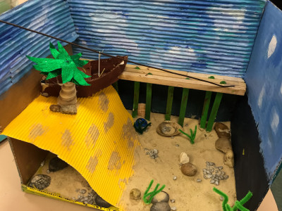 Year7GardenBox 10 Year7GardenBox 10