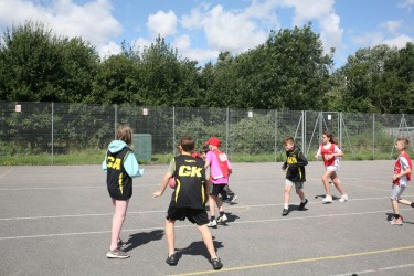 IMG 0461 IMG 0461