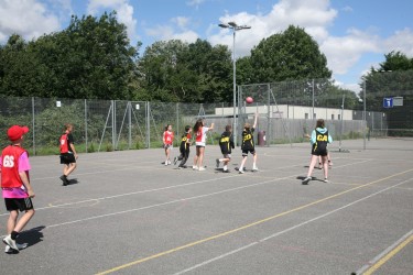 IMG 0462 IMG 0462