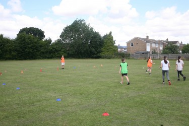IMG 0480 IMG 0480
