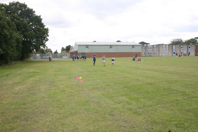 IMG 0542