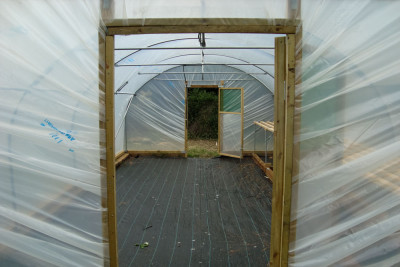PolyTunnel 65 PolyTunnel 65