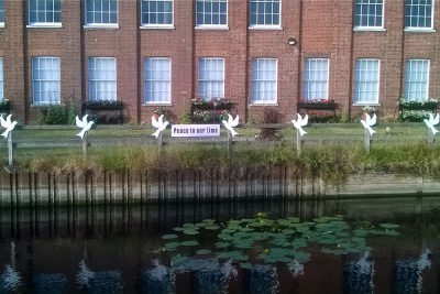 Doves of Peace 7