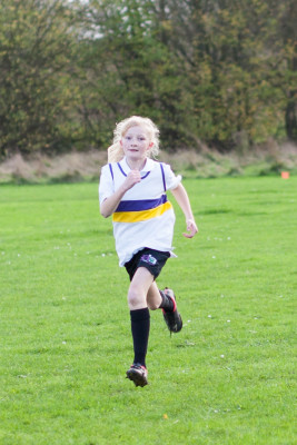 Cross Country 29 Cross Country 29