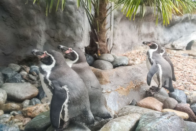 Zoo Trip 27 Zoo Trip 27