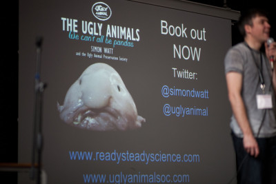 ugly animal road show 17 ugly animal road show 17
