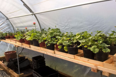 gardening club ramsey 28 gardening club ramsey 28