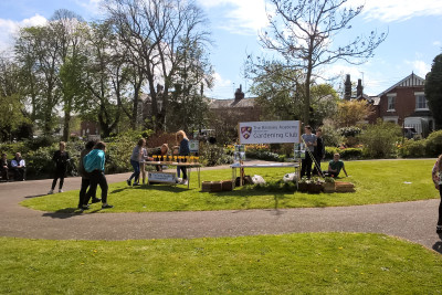 halstead may day celebrations 15 halstead may day celebrations 15