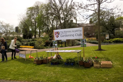 halstead may day celebrations 3 halstead may day celebrations 3