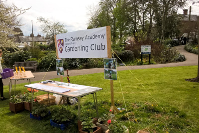 halstead may day celebrations 4 halstead may day celebrations 4
