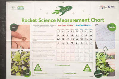 ramsey gardening rocket project 21 ramsey gardening rocket project 21