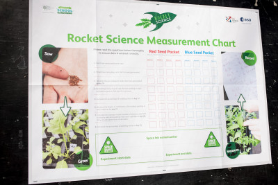ramsey gardening rocket project 8 ramsey gardening rocket project 8