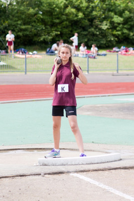 district sports essex 2016 41 district sports essex 2016 41