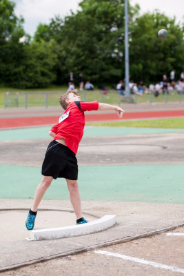 district sports essex 2016 55 district sports essex 2016 55