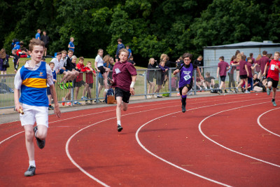 district sports essex 2016 173 district sports essex 2016 173