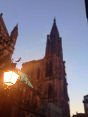 strasbourg 2016 100 strasbourg 2016 100