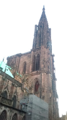 strasbourg 2016 154 strasbourg 2016 154