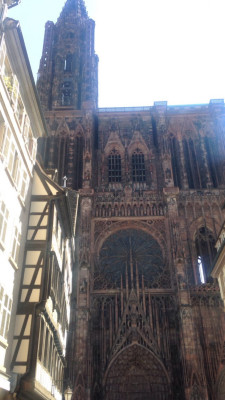 strasbourg 2016 159 strasbourg 2016 159