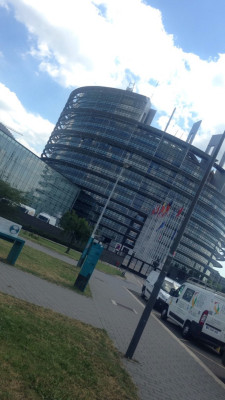 strasbourg 2016 161 strasbourg 2016 161