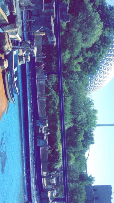 strasbourg 2016 187 strasbourg 2016 187