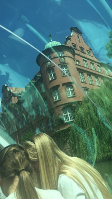 strasbourg 2016 209 strasbourg 2016 209