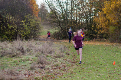 cross country 2016 067 cross country 2016 067