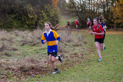 cross country 2016 068 cross country 2016 068