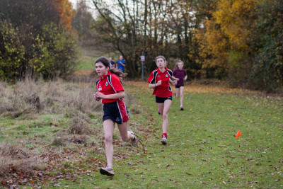 cross country 2016 069 cross country 2016 069
