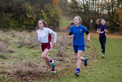 cross country 2016 072 cross country 2016 072