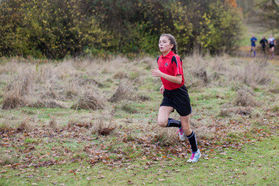 cross country 2016 078 cross country 2016 078