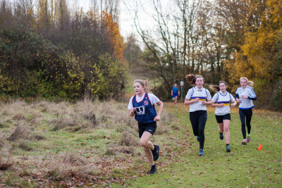 cross country 2016 081 cross country 2016 081