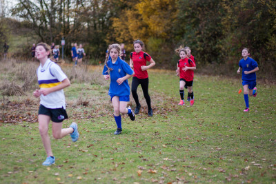cross country 2016 020 cross country 2016 020