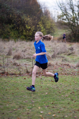 cross country 2016 025 cross country 2016 025