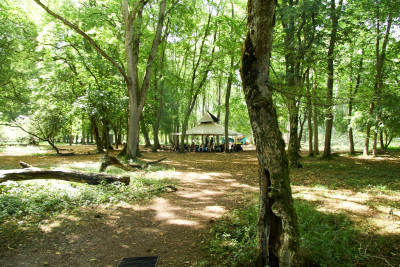 Bushcraft 17 050 Bushcraft 17 050