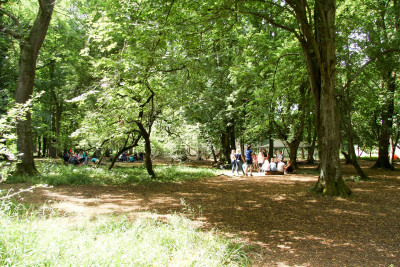 Bushcraft 17 074 Bushcraft 17 074