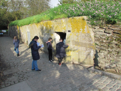 IMG 7196 IMG 7196