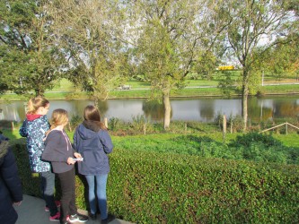 IMG 7206 IMG 7206