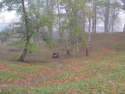 IMG 7350 IMG 7350
