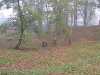 IMG 7350 IMG 7350