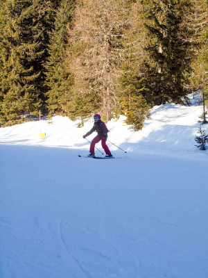 Ski2015 Day3 Skiing 195 Ski2015 Day3 Skiing 195
